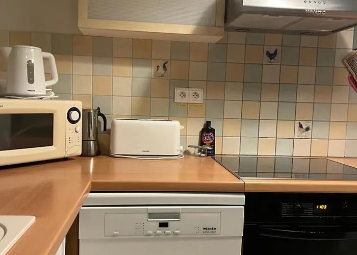 Сasa de vacaciones Domaine De Braffais *